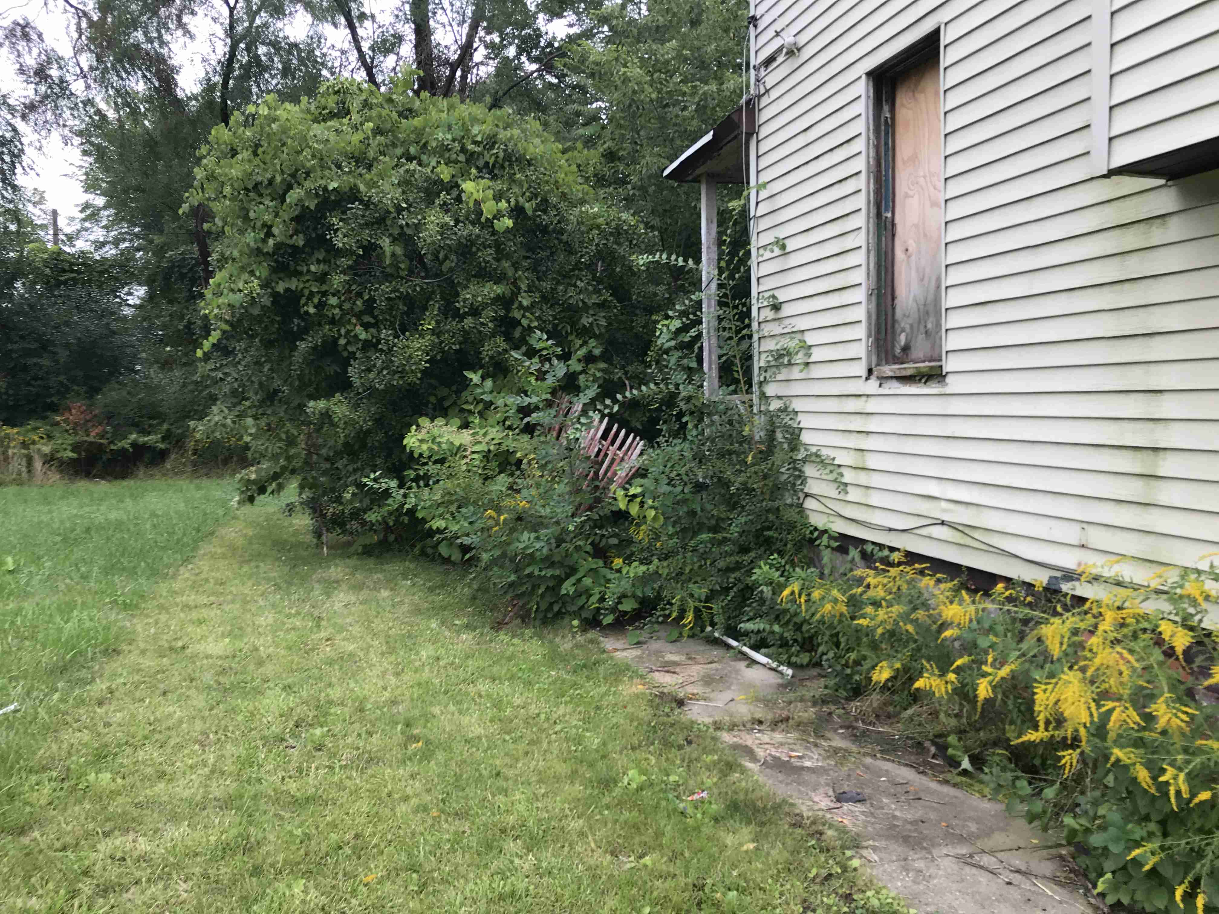 Photo Sep 09, 12 20 00 PM.jpg